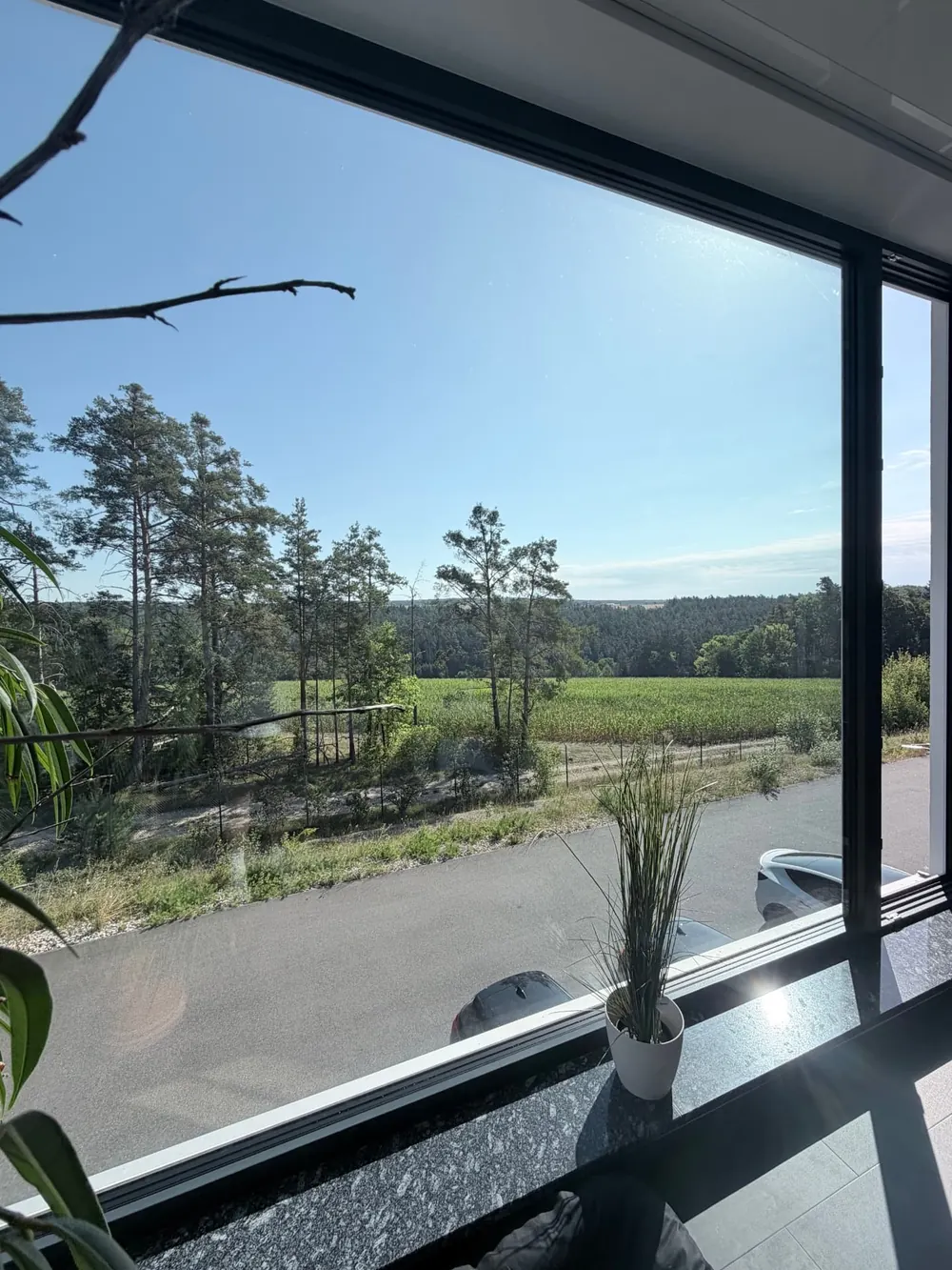 Aussicht aus dem Bürofenster auf Felder und Kiefernwald der Oberpfalz